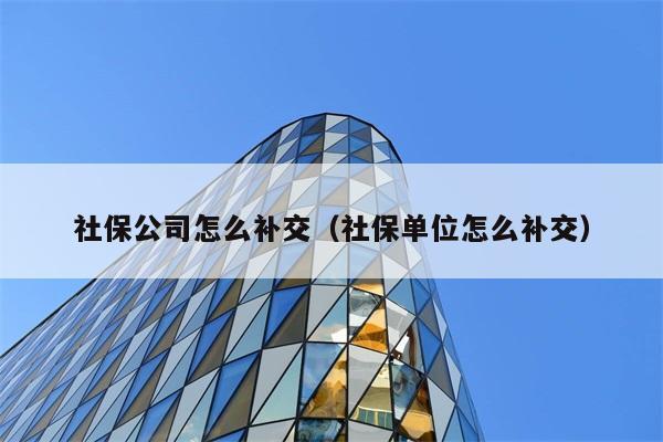 社保公司怎么补交（社保单位怎么补交） 