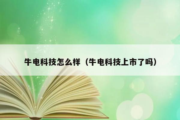 牛电科技怎么样（牛电科技上市了吗） 