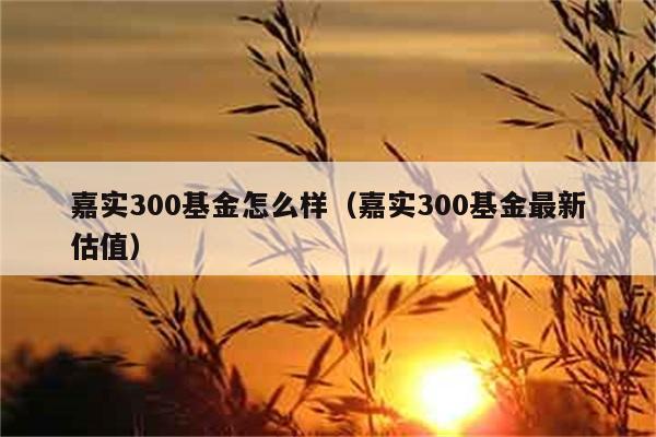 嘉实300基金怎么样（嘉实300基金最新估值） 