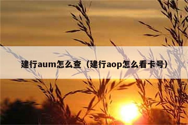 建行aum怎么查（建行aop怎么看卡号） 