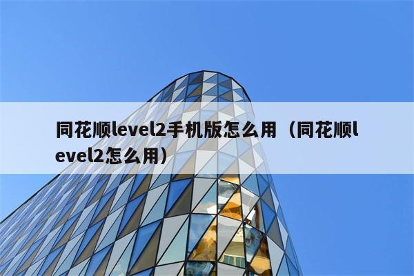 同花顺level2手机版怎么用（同花顺level2怎么用） 