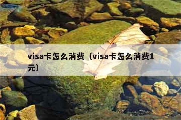 visa卡怎么消费（visa卡怎么消费1元） 