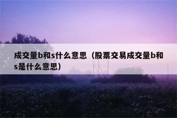 成交量b和s什么意思（股票交易成交量b和s是什么意思） 