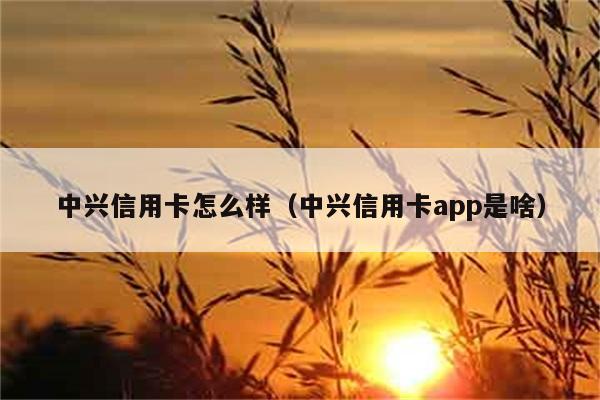 中兴信用卡怎么样（中兴信用卡app是啥） 