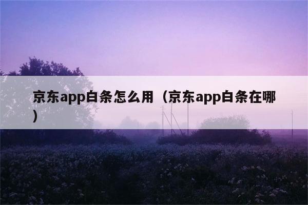 京东app白条怎么用（京东app白条在哪） 