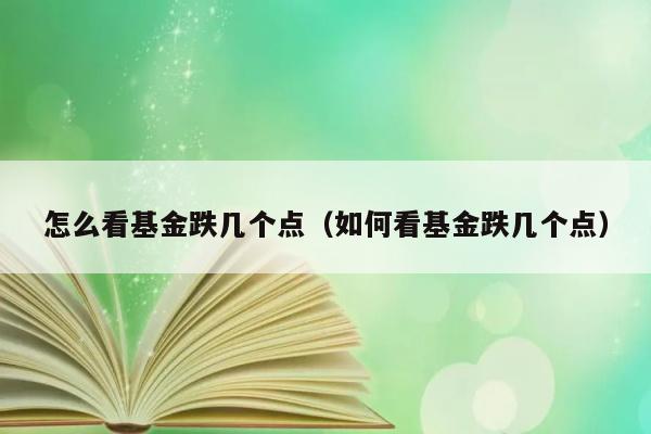 怎么看基金跌几个点（如何看基金跌几个点） 