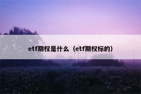 etf期权是什么（etf期权标的） 