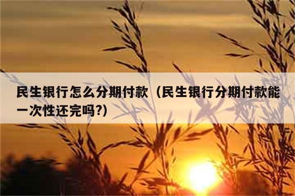 民生银行怎么分期付款（民生银行分期付款能一次性还完吗?） 