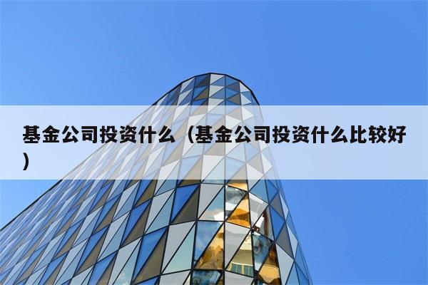 基金公司投资什么（基金公司投资什么比较好） 