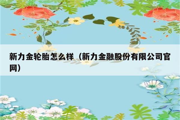 新力金轮胎怎么样（新力金融股份有限公司官网） 