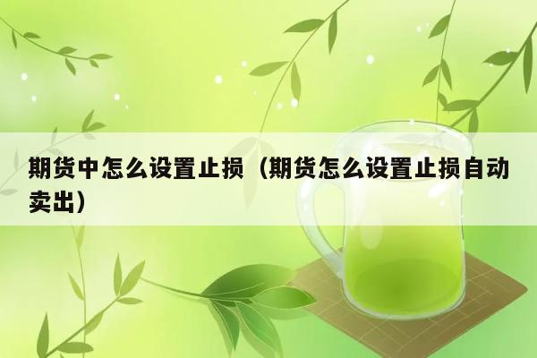 期货中怎么设置止损（期货怎么设置止损自动卖出） 