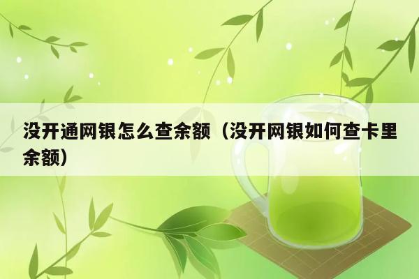 没开通网银怎么查余额（没开网银如何查卡里余额） 