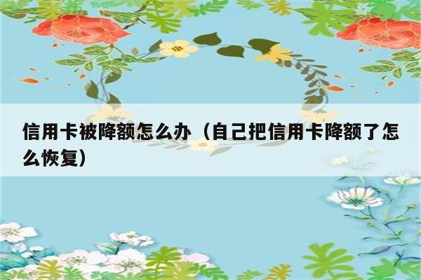 信用卡被降额怎么办（自己把信用卡降额了怎么恢复） 