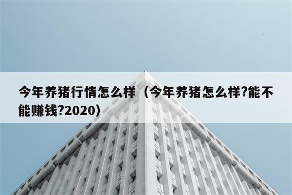 今年养猪行情怎么样（今年养猪怎么样?能不能赚钱?2020） 