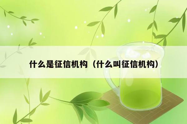 什么是征信机构（什么叫征信机构） 