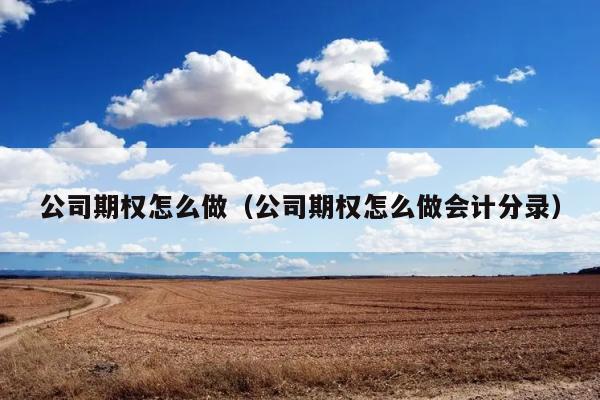 公司期权怎么做（公司期权怎么做会计分录） 