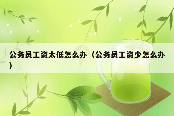 公务员工资太低怎么办（公务员工资少怎么办） 