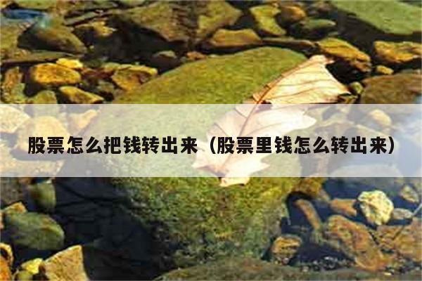 股票怎么把钱转出来（股票里钱怎么转出来） 