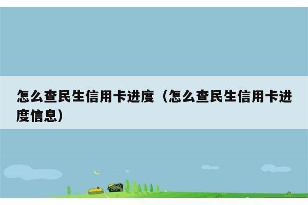 怎么查民生信用卡进度（怎么查民生信用卡进度信息） 