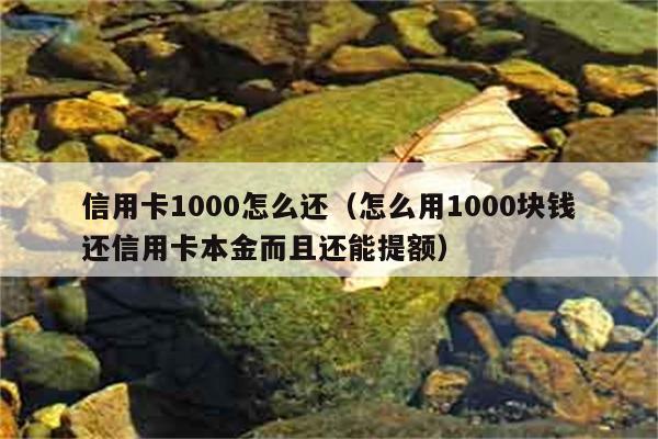 信用卡1000怎么还（怎么用1000块钱还信用卡本金而且还能提额） 