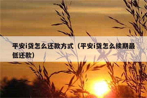 平安i贷怎么还款方式（平安i贷怎么续期最低还款） 