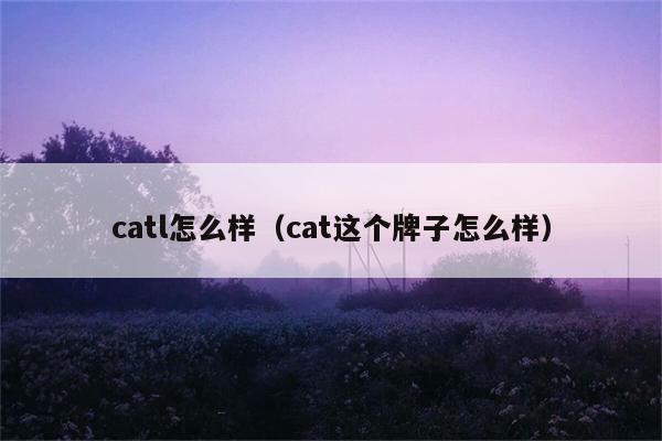 catl怎么样（cat这个牌子怎么样） 