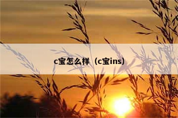 c宝怎么样（c宝ins） 