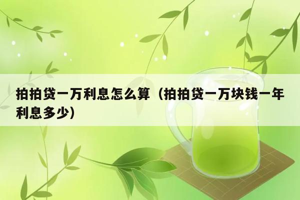 拍拍贷一万利息怎么算（拍拍贷一万块钱一年利息多少） 