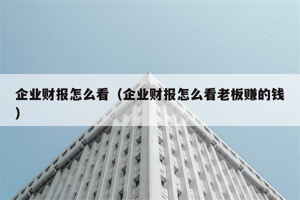 企业财报怎么看（企业财报怎么看老板赚的钱） 