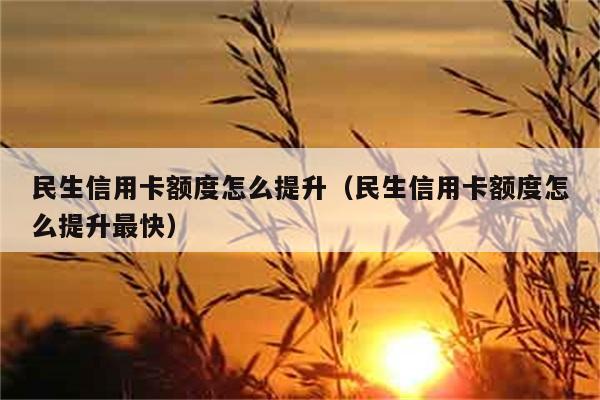 民生信用卡额度怎么提升（民生信用卡额度怎么提升最快） 