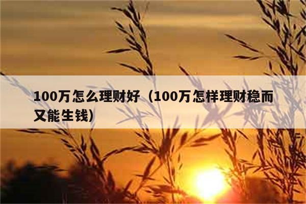 100万怎么理财好（100万怎样理财稳而又能生钱） 