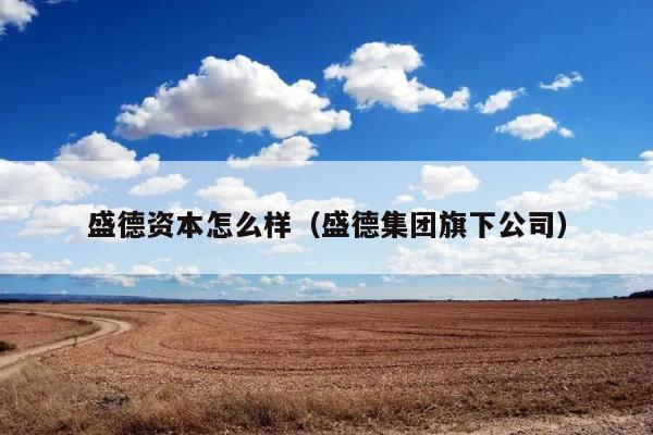 盛德资本怎么样（盛德集团旗下公司） 