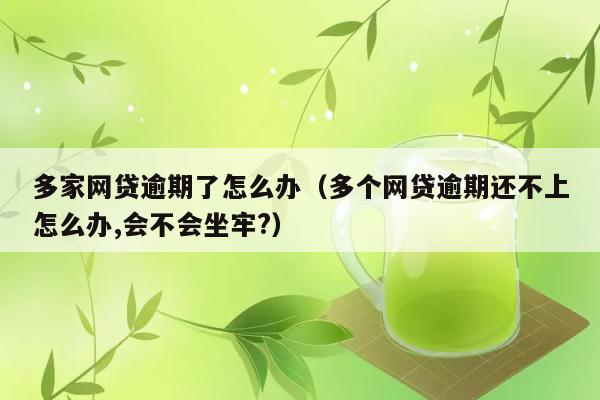 多家网贷逾期了怎么办（多个网贷逾期还不上怎么办,会不会坐牢?） 