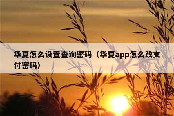 华夏怎么设置查询密码（华夏app怎么改支付密码） 