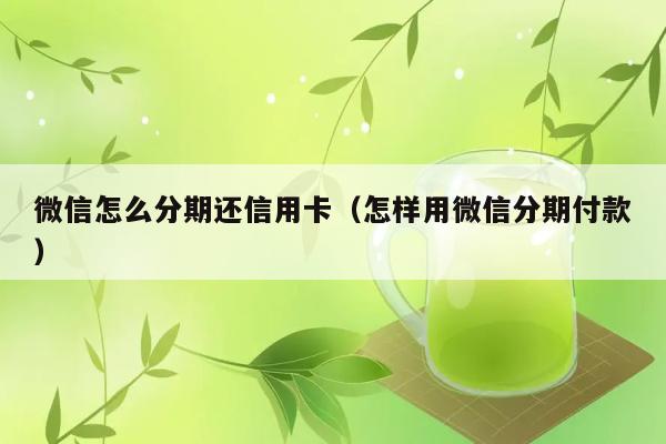 微信怎么分期还信用卡（怎样用微信分期付款） 