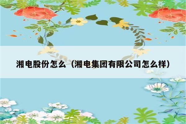 湘电股份怎么（湘电集团有限公司怎么样） 