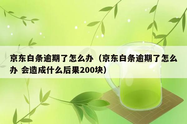 京东白条逾期了怎么办（京东白条逾期了怎么办 会造成什么后果200块） 