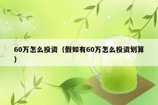 60万怎么投资（假如有60万怎么投资划算） 