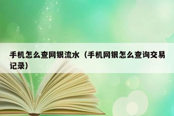 手机怎么查网银流水（手机网银怎么查询交易记录） 