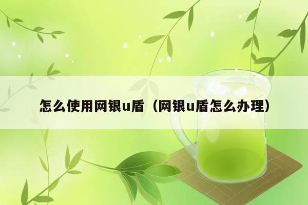 怎么使用网银u盾（网银u盾怎么办理） 