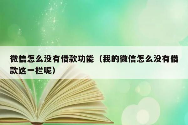 微信怎么没有借款功能（我的微信怎么没有借款这一栏呢） 