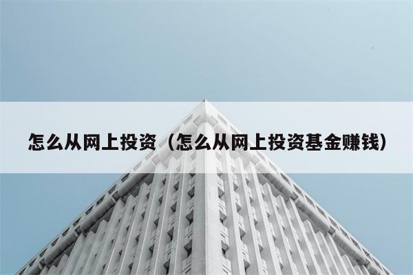 怎么从网上投资（怎么从网上投资基金赚钱） 