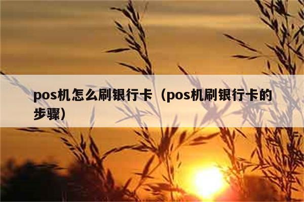 pos机怎么刷银行卡（pos机刷银行卡的步骤） 