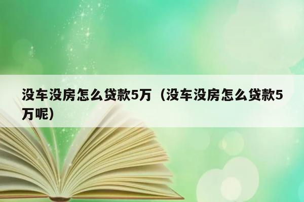 没车没房怎么贷款5万（没车没房怎么贷款5万呢） 