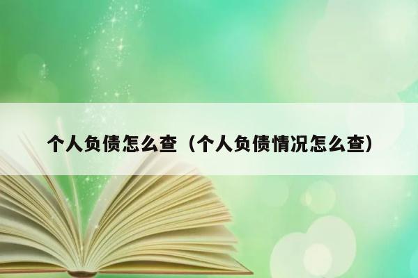 个人负债怎么查（个人负债情况怎么查） 