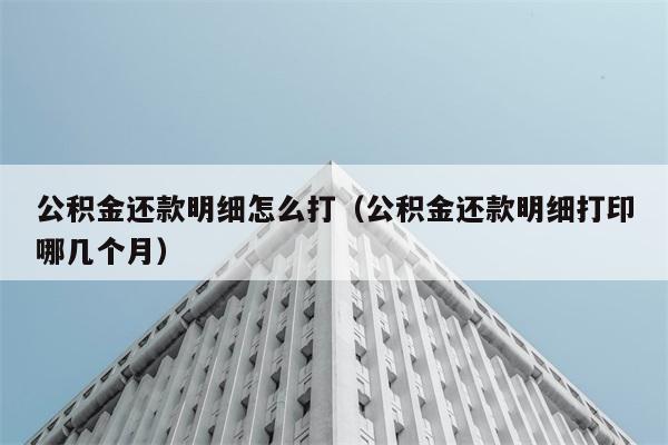 公积金还款明细怎么打（公积金还款明细打印哪几个月） 