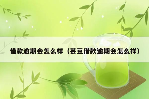 借款逾期会怎么样（芸豆借款逾期会怎么样） 