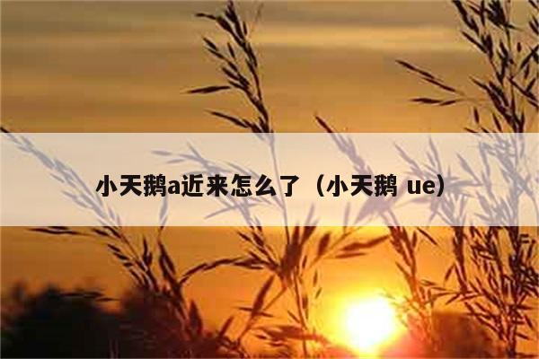 小天鹅a近来怎么了（小天鹅 ue） 