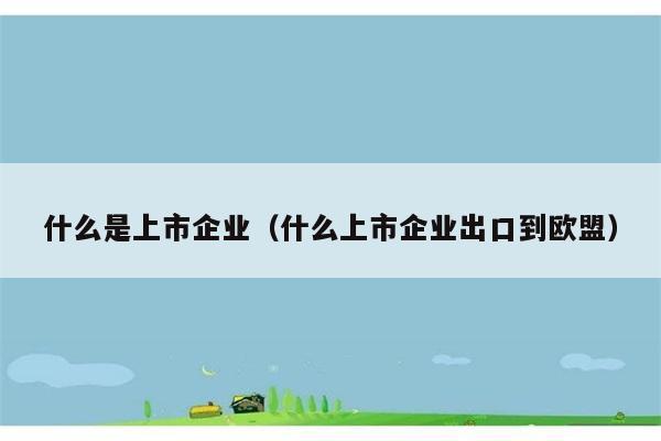 什么是上市企业（什么上市企业出口到欧盟） 