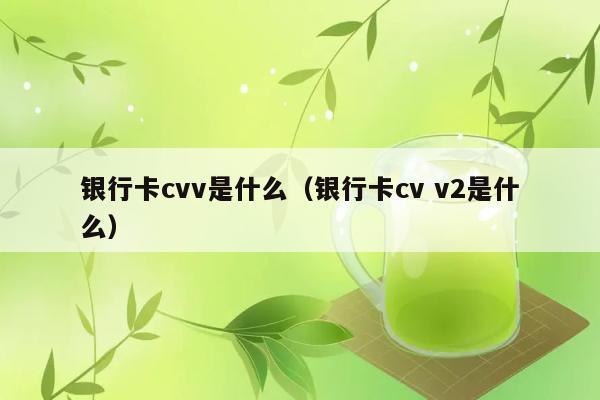 银行卡cvv是什么（银行卡cv v2是什么） 